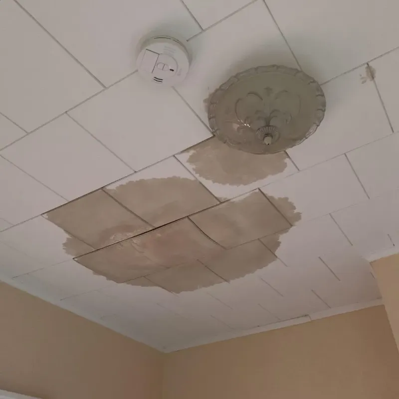 Ceiling Water Damage Repair in Pleasant Valley, NY